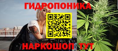 ПСИЛОЦИБИНОВЫЕ ГРИБЫ Канаш