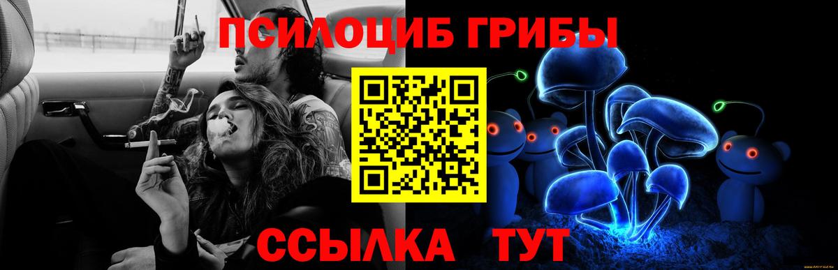 Орехово-Зуево  Галлюциногенные грибы мицелий  Вход с VPN 